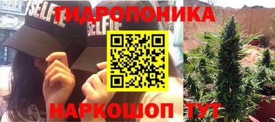 твердый Будённовск