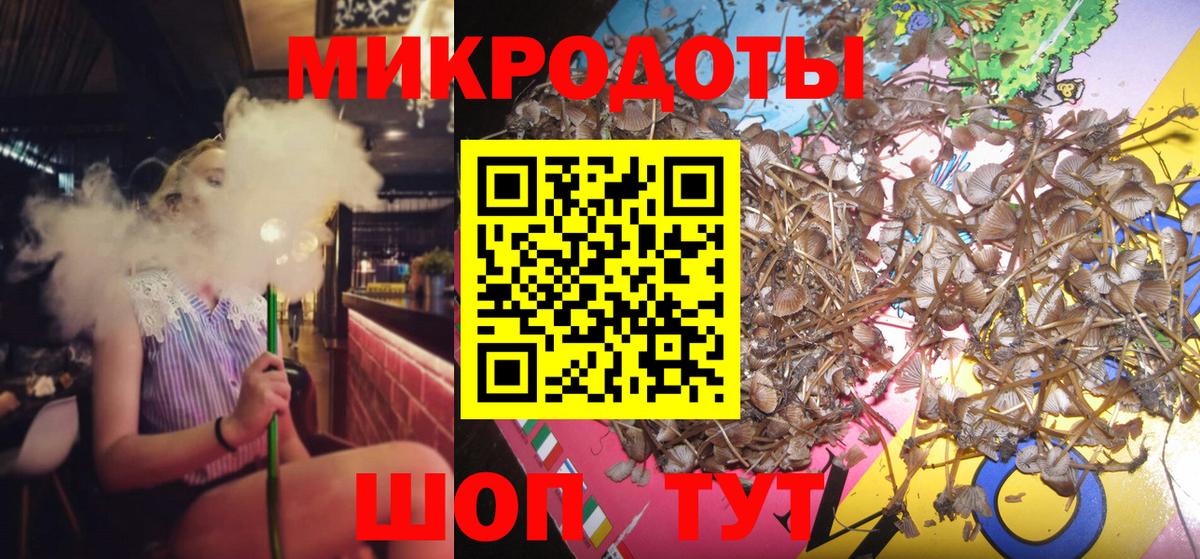 Псилоцибиновые грибы Cubensis Михайловка