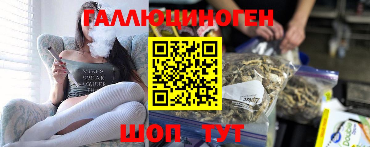 Михайловка  Псилоцибиновые грибы мицелий  Вход с VPN 